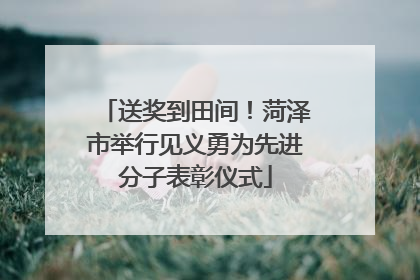 送奖到田间！菏泽市举行见义勇为先进分子表彰仪式