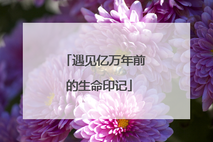 遇见亿万年前的生命印记