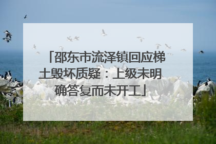 邵东市流泽镇回应梯土毁坏质疑：上级未明确答复而未开工