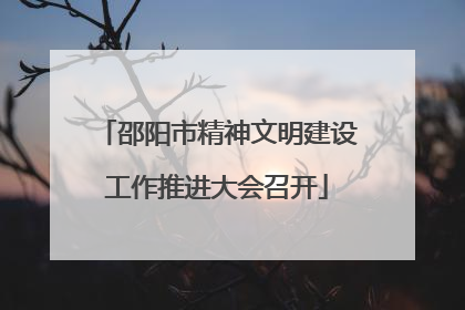 邵阳市精神文明建设工作推进大会召开