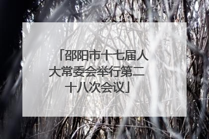 邵阳市十七届人大常委会举行第二十八次会议