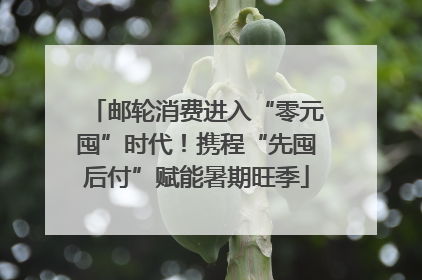 邮轮消费进入“零元囤”时代！携程“先囤后付”赋能暑期旺季