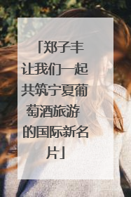 郑子丰 让我们一起共筑宁夏葡萄酒旅游 的国际新名片