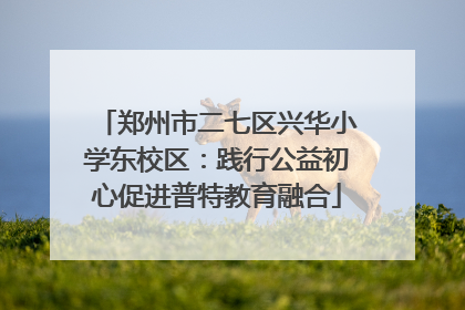 郑州市二七区兴华小学东校区：践行公益初心促进普特教育融合