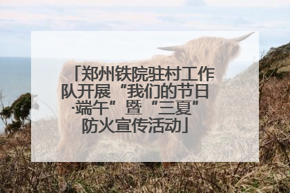 郑州铁院驻村工作队开展“我们的节日·端午”暨“三夏”防火宣传活动