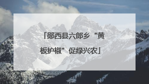郧西县六郎乡“黄板护椒”促绿兴农