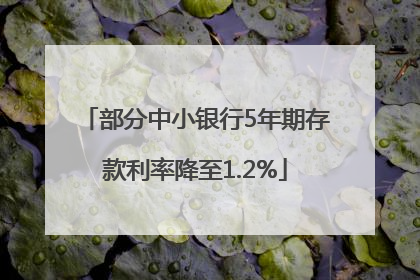部分中小银行5年期存款利率降至1.2%