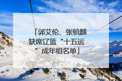 郭艾伦、张镇麟缺席辽篮“十五运”成年组名单