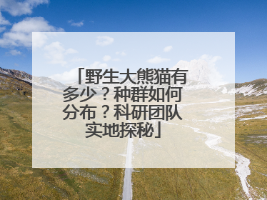 野生大熊猫有多少？种群如何分布？科研团队实地探秘