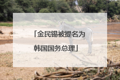 金民锡被提名为韩国国务总理