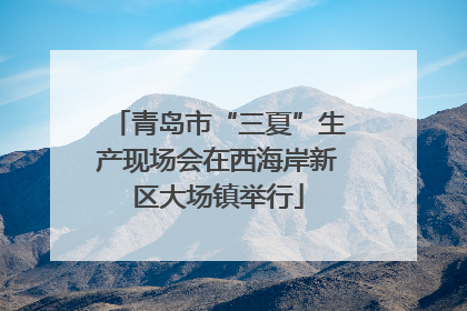 青岛市“三夏”生产现场会在西海岸新区大场镇举行