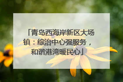 青岛西海岸新区大场镇：综治中心强服务，和谐港湾暖民心