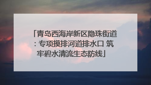 青岛西海岸新区隐珠街道：专项摸排河道排水口 筑牢碧水清流生态防线