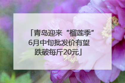 青岛迎来“榴莲季” 6月中旬批发价有望跌破每斤20元