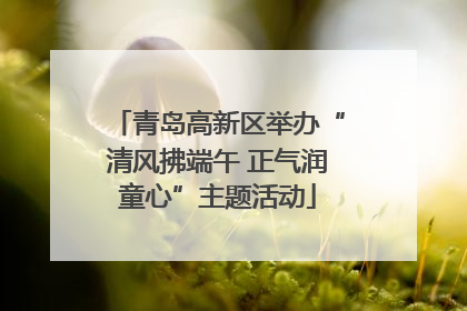 青岛高新区举办“清风拂端午 正气润童心”主题活动