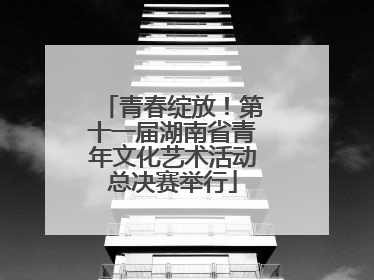 青春绽放！第十一届湖南省青年文化艺术活动总决赛举行