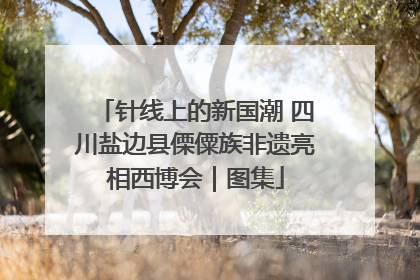 针线上的新国潮 四川盐边县傈僳族非遗亮相西博会｜图集