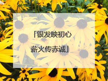 银发映初心 薪火传赤诚