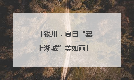 银川：夏日“塞上湖城”美如画
