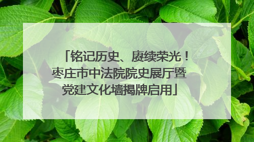 铭记历史、赓续荣光！枣庄市中法院院史展厅暨党建文化墙揭牌启用