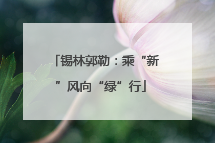 锡林郭勒：乘“新”风向“绿”行