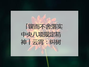 锲而不舍落实中央八项规定精神丨云霄：纠树并举扬正气 作风建设谱新章