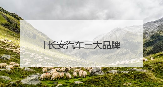 长安汽车三大品牌闪耀夜空，11787架无人机献礼重庆直辖28周年
