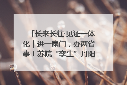 长来长往·见证一体化｜进一扇门，办两省事！苏皖“孪生”丹阳如何做到的？