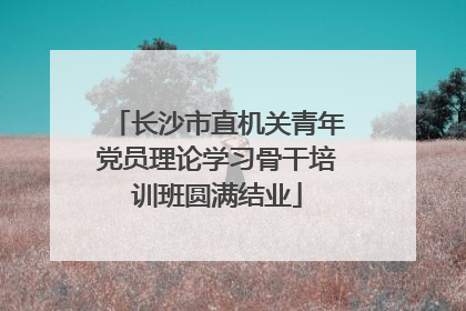 长沙市直机关青年党员理论学习骨干培训班圆满结业