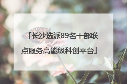 长沙选派89名干部联点服务高能级科创平台