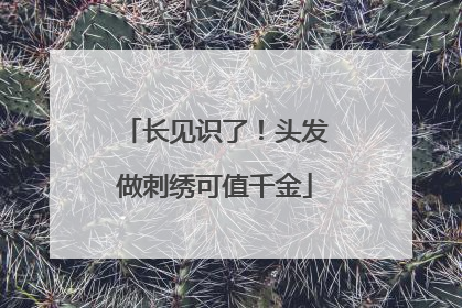 长见识了！头发做刺绣可值千金