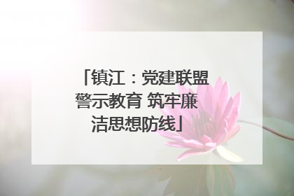 镇江：党建联盟警示教育 筑牢廉洁思想防线