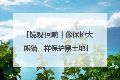 镜观·回响｜像保护大熊猫一样保护黑土地