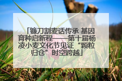 镰刀割麦话传承 基因育种启新程——第十届杨凌小麦文化节见证“颗粒归仓”时空跨越