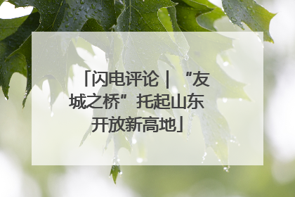 闪电评论｜“友城之桥”托起山东开放新高地