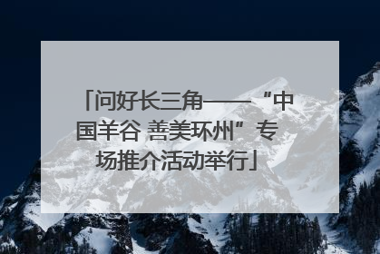 问好长三角——“中国羊谷 善美环州”专场推介活动举行