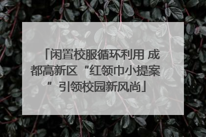 闲置校服循环利用 成都高新区“红领巾小提案”引领校园新风尚