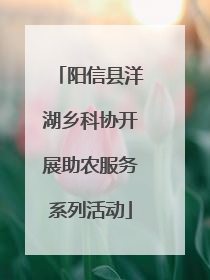阳信县洋湖乡科协开展助农服务系列活动