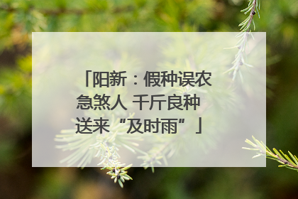 阳新：假种误农急煞人 千斤良种送来“及时雨”