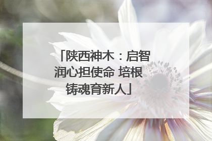 陕西神木：启智润心担使命 培根铸魂育新人