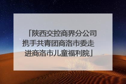 陕西交控商界分公司携手共青团商洛市委走进商洛市儿童福利院
