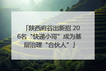 陕西府谷出新招 206名“快递小哥”成为基层治理“合伙人”