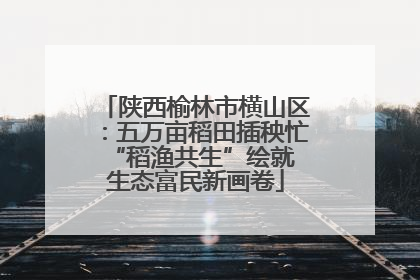 陕西榆林市横山区：五万亩稻田插秧忙 “稻渔共生”绘就生态富民新画卷