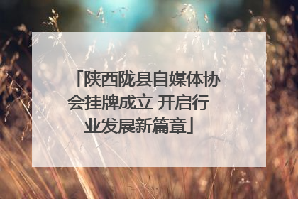 陕西陇县自媒体协会挂牌成立 开启行业发展新篇章