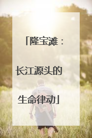 隆宝滩：长江源头的生命律动