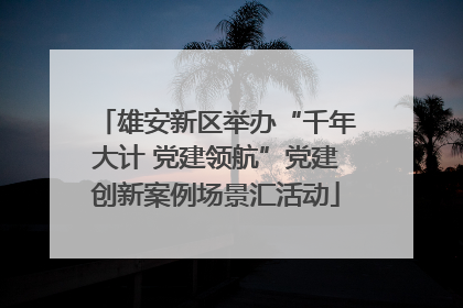 雄安新区举办“千年大计 党建领航”党建创新案例场景汇活动