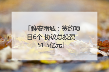 雅安雨城：签约项目6个 协议总投资51.5亿元