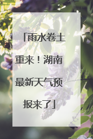 雨水卷土重来！湖南最新天气预报来了