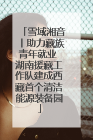雪域湘音丨助力藏族青年就业 湖南援藏工作队建成西藏首个清洁能源装备园