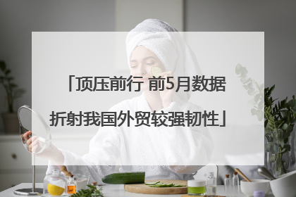 顶压前行 前5月数据折射我国外贸较强韧性